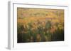 USA, Maine, Acadia NP, Fall Foliage at Acadia NP-Joanne Wells-Framed Photographic Print