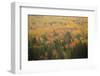 USA, Maine, Acadia NP, Fall Foliage at Acadia NP-Joanne Wells-Framed Photographic Print