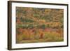 USA, Maine, Acadia NP, Fall Foliage at Acadia NP-Joanne Wells-Framed Photographic Print