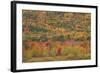 USA, Maine, Acadia NP, Fall Foliage at Acadia NP-Joanne Wells-Framed Photographic Print