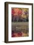 USA, Maine. Autumn foliage reflected in a pond, Acadia National Park.-Judith Zimmerman-Framed Photographic Print