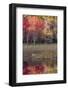 USA, Maine. Autumn foliage reflected in a pond, Acadia National Park.-Judith Zimmerman-Framed Photographic Print