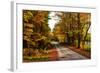 USA, Maine, Bethel. Wood Trail with Fall Foliage-Bill Bachmann-Framed Photographic Print