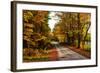 USA, Maine, Bethel. Wood Trail with Fall Foliage-Bill Bachmann-Framed Photographic Print