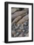 USA, Maine. Boulder Beach, Acadia National Park.-Judith Zimmerman-Framed Photographic Print