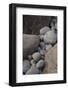 USA, Maine. Boulder Beach, Acadia National Park.-Judith Zimmerman-Framed Photographic Print