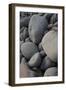 USA, Maine. Boulder Beach, Acadia National Park.-Judith Zimmerman-Framed Photographic Print