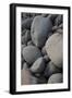 USA, Maine. Boulder Beach, Acadia National Park.-Judith Zimmerman-Framed Photographic Print