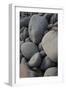 USA, Maine. Boulder Beach, Acadia National Park.-Judith Zimmerman-Framed Photographic Print