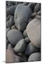 USA, Maine. Boulder Beach, Acadia National Park.-Judith Zimmerman-Mounted Photographic Print