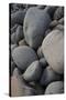 USA, Maine. Boulder Beach, Acadia National Park.-Judith Zimmerman-Stretched Canvas
