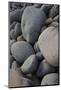 USA, Maine. Boulder Beach, Acadia National Park.-Judith Zimmerman-Mounted Photographic Print