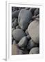 USA, Maine. Boulder Beach, Acadia National Park.-Judith Zimmerman-Framed Photographic Print