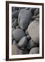 USA, Maine. Boulder Beach, Acadia National Park.-Judith Zimmerman-Framed Photographic Print