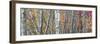 USA, Maine. Colorful autumn foliage in the forests of Sieur de Monts Nature Center.-Judith Zimmerman-Framed Photographic Print