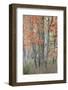 USA, Maine. Colorful autumn foliage in the forests of Sieur de Monts Nature Center.-Judith Zimmerman-Framed Photographic Print