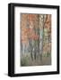 USA, Maine. Colorful autumn foliage in the forests of Sieur de Monts Nature Center.-Judith Zimmerman-Framed Photographic Print