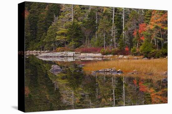 USA, Maine, Fall Reflections at Eagle Lake in Acadia National Park-Joanne Wells-Stretched Canvas