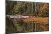 USA, Maine, Fall Reflections at Eagle Lake in Acadia National Park-Joanne Wells-Mounted Photographic Print