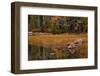 USA, Maine, Fall Reflections at Eagle Lake in Acadia National Park-Joanne Wells-Framed Photographic Print