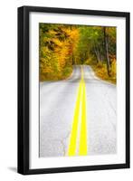 USA, Maine, Highway 113 lined by Maple and Birch trees in full Autumn color-Sylvia Gulin-Framed Photographic Print