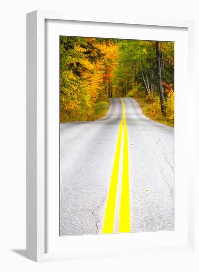 USA, Maine, Highway 113 lined by Maple and Birch trees in full Autumn color-Sylvia Gulin-Framed Photographic Print