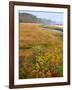 USA, Maine, Kennebunkport. Tidal Marsh on the Mousam River-Steve Terrill-Framed Photographic Print