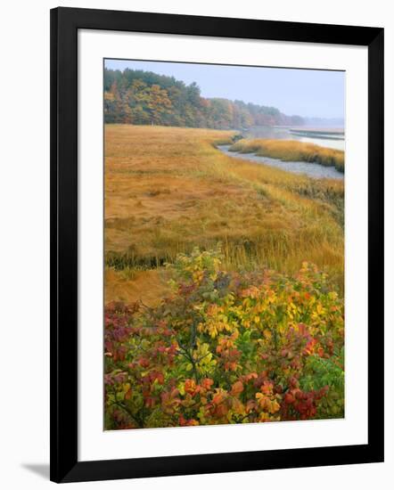 USA, Maine, Kennebunkport. Tidal Marsh on the Mousam River-Steve Terrill-Framed Photographic Print