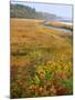 USA, Maine, Kennebunkport. Tidal Marsh on the Mousam River-Steve Terrill-Mounted Photographic Print