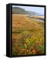 USA, Maine, Kennebunkport. Tidal Marsh on the Mousam River-Steve Terrill-Framed Stretched Canvas