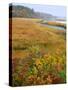 USA, Maine, Kennebunkport. Tidal Marsh on the Mousam River-Steve Terrill-Stretched Canvas