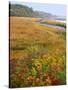 USA, Maine, Kennebunkport. Tidal Marsh on the Mousam River-Steve Terrill-Stretched Canvas