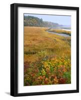 USA, Maine, Kennebunkport. Tidal Marsh on the Mousam River-Steve Terrill-Framed Photographic Print
