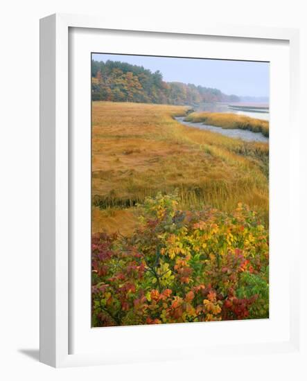 USA, Maine, Kennebunkport. Tidal Marsh on the Mousam River-Steve Terrill-Framed Photographic Print