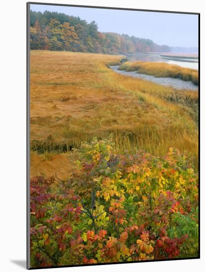 USA, Maine, Kennebunkport. Tidal Marsh on the Mousam River-Steve Terrill-Mounted Photographic Print