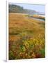 USA, Maine, Kennebunkport. Tidal Marsh on the Mousam River-Steve Terrill-Framed Photographic Print