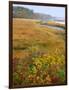 USA, Maine, Kennebunkport. Tidal Marsh on the Mousam River-Steve Terrill-Framed Photographic Print