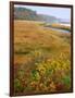 USA, Maine, Kennebunkport. Tidal Marsh on the Mousam River-Steve Terrill-Framed Photographic Print