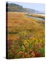 USA, Maine, Kennebunkport. Tidal Marsh on the Mousam River-Steve Terrill-Stretched Canvas