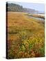 USA, Maine, Kennebunkport. Tidal Marsh on the Mousam River-Steve Terrill-Stretched Canvas