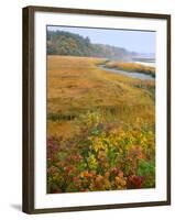 USA, Maine, Kennebunkport. Tidal Marsh on the Mousam River-Steve Terrill-Framed Photographic Print