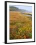 USA, Maine, Kennebunkport. Tidal Marsh on the Mousam River-Steve Terrill-Framed Photographic Print