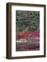 USA, Maine. Low bush blueberry and evergreen, New Mills Meadow Pond, Acadia National Park.-Judith Zimmerman-Framed Photographic Print