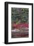 USA, Maine. Low bush blueberry and evergreen, New Mills Meadow Pond, Acadia National Park.-Judith Zimmerman-Framed Photographic Print