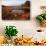 USA, Maine, Marsh Grass and Pond Near Acadia National Park-Joanne Wells-Photographic Print displayed on a wall