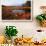 USA, Maine, Marsh Grass and Pond Near Acadia National Park-Joanne Wells-Framed Photographic Print displayed on a wall