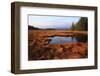 USA, Maine, Marsh Grass and Pond Near Acadia National Park-Joanne Wells-Framed Photographic Print