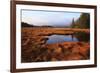 USA, Maine, Marsh Grass and Pond Near Acadia National Park-Joanne Wells-Framed Photographic Print
