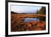 USA, Maine, Marsh Grass and Pond Near Acadia National Park-Joanne Wells-Framed Photographic Print