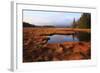 USA, Maine, Marsh Grass and Pond Near Acadia National Park-Joanne Wells-Framed Photographic Print